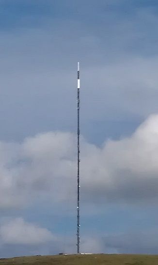 Mast Profile Image.jpg