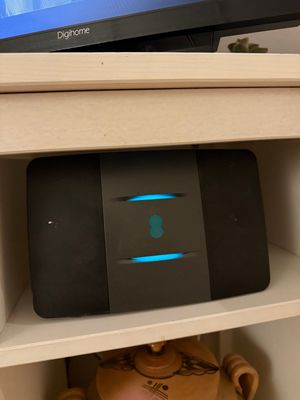 IMG_0383.jpeg