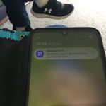 IMG_3146.jpeg