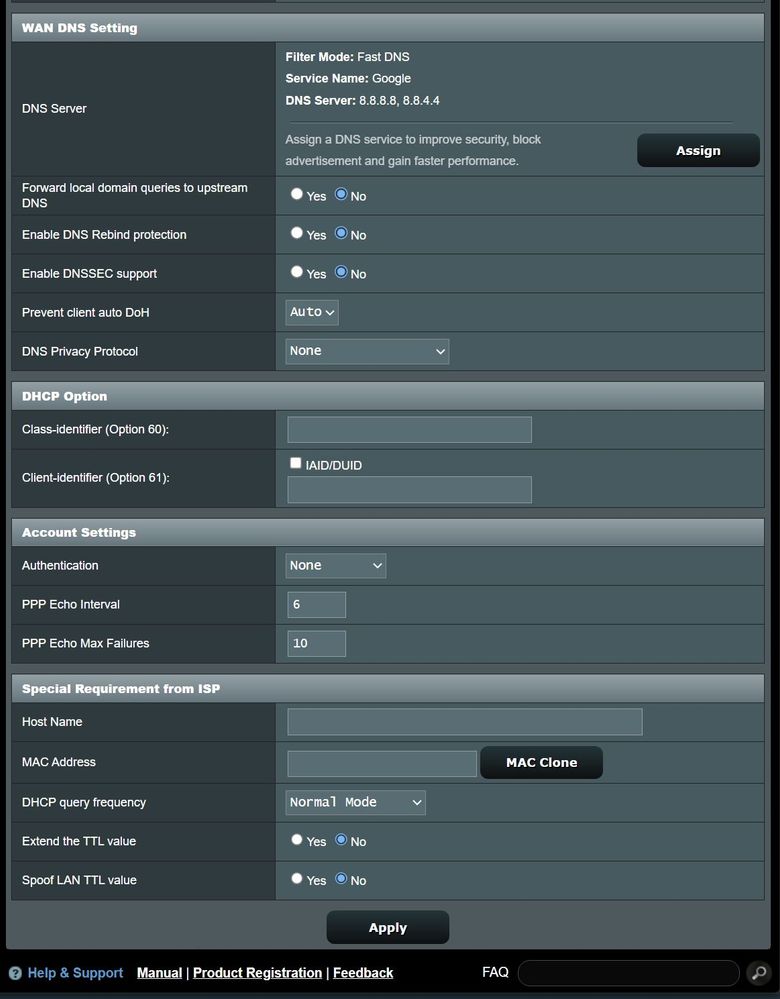 Asus DNS settings