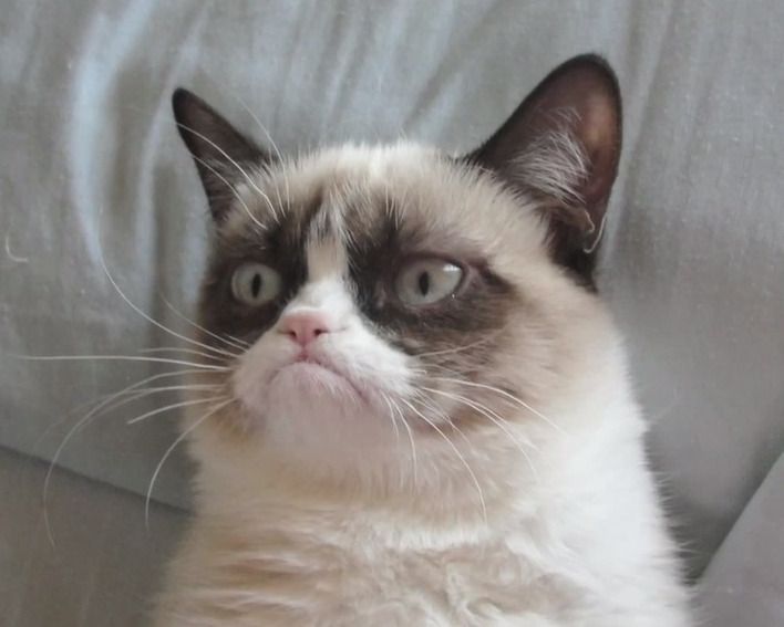grumpycat.jpg