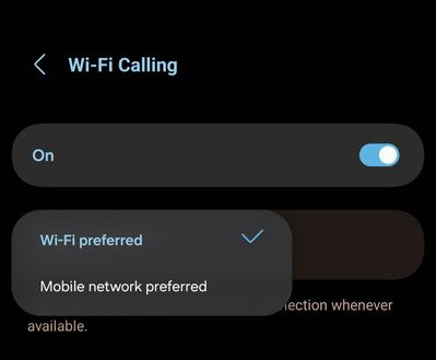Screenshot_20250922_181019_Wi-Fi Calling.jpg