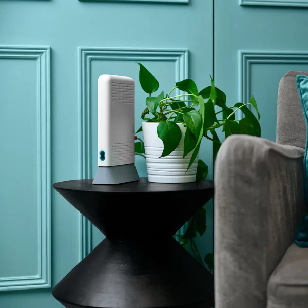 New EE full fibre plans