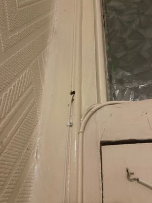 IMG_6803.jpeg