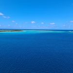 IMG_20240202_105349_033.jpg