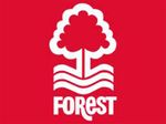 Forest.jpg