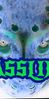 17300c6e9ee0581900bb1b4e3860a20d.jpg