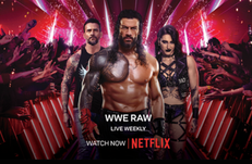 wwefinal.png