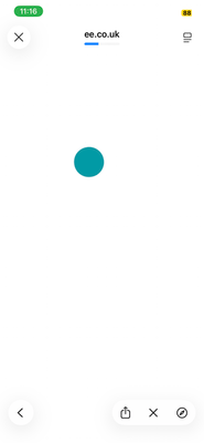 IMG_0203.png