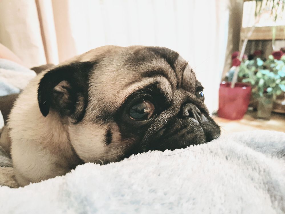 20171029_183238~2.jpg