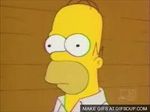 homer1.jpeg