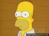 homer1.jpeg