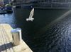 20121204_110852_1.jpeg