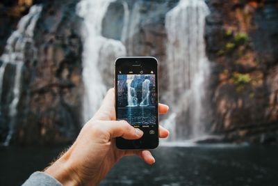 The Common Wanderer_using the grid.jpg The Common Wanderer_using the grid.jpg