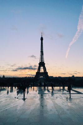 The Common Wanderer_ Mobile shot of the Eiffel Tower in Paris, edited with VSCO.JPG