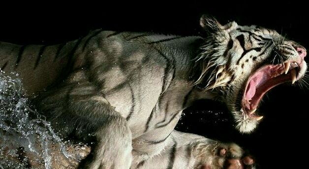 2017-03-10 21.12.53_crop_628x344.jpg