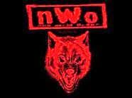 WCW - NWO Wolfpak 4.jpeg