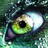 Green-eye-sq-icon.jpg