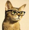 pipps-cat1-3_zps2e6e763d2_zps1d0b355b.jpg