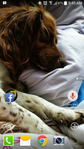 Screenshot_2014-06-18-09-45-24.png