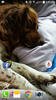 Screenshot_2014-06-18-09-45-24.png