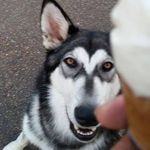 Profile (avibrother)